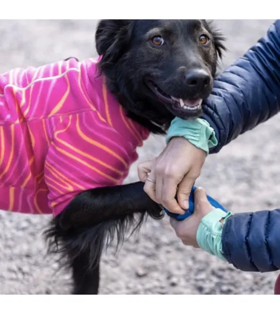 Ruffwear Hi & Light™ Trail Dog Shoes (Blue Pool)